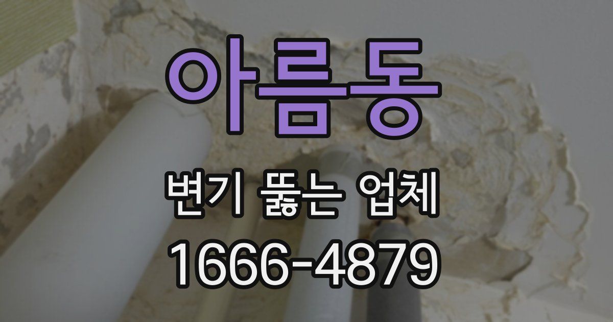 아름동 변기 뚫는 업체