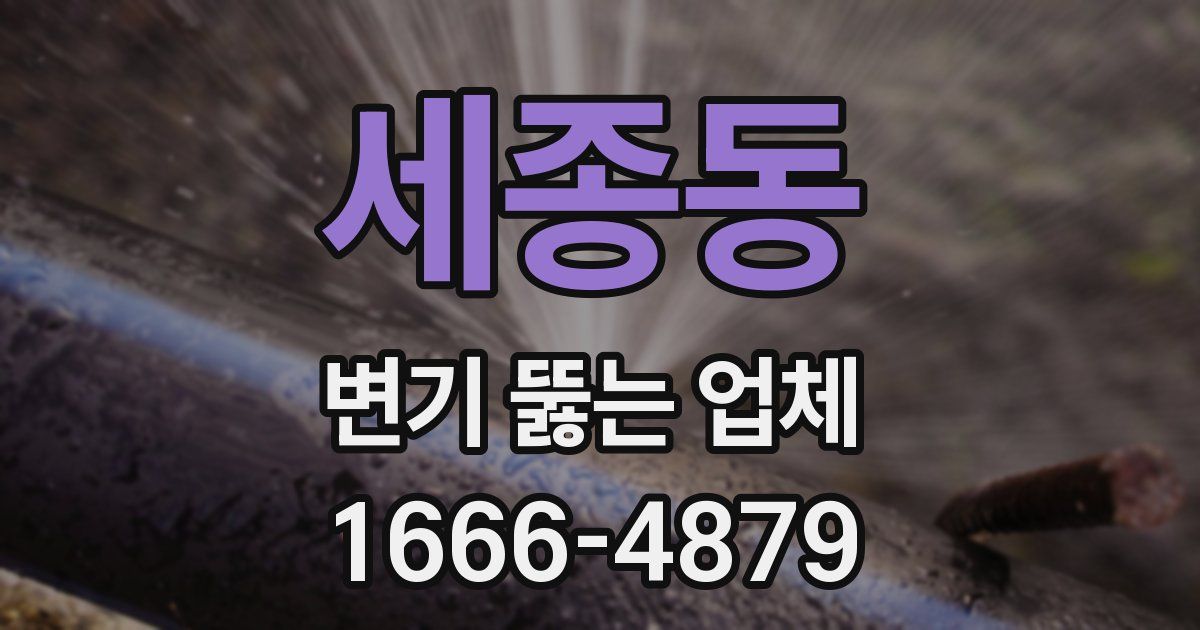 세종동 변기 뚫는 업체
