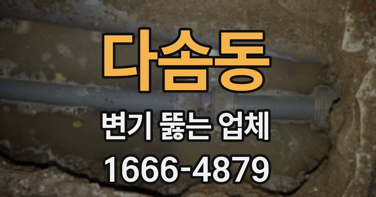 다솜동 변기 뚫는 업체