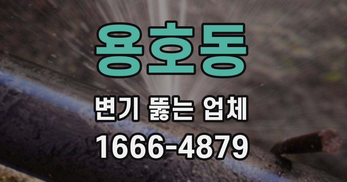 용호동 변기 뚫는 업체