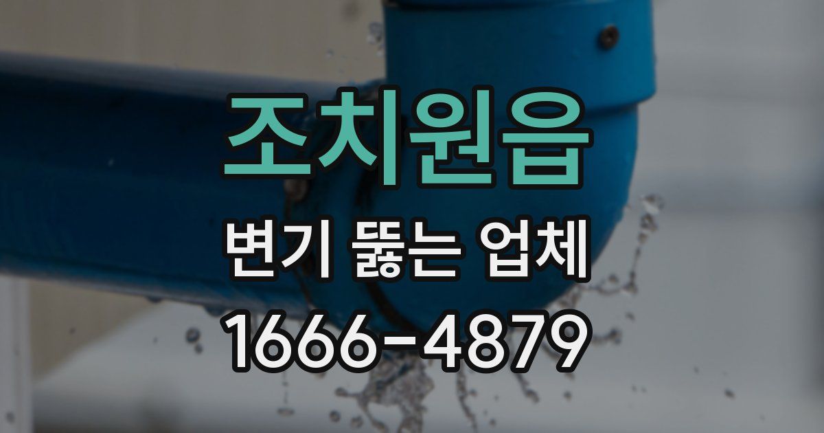 조치원읍 변기 뚫는 업체