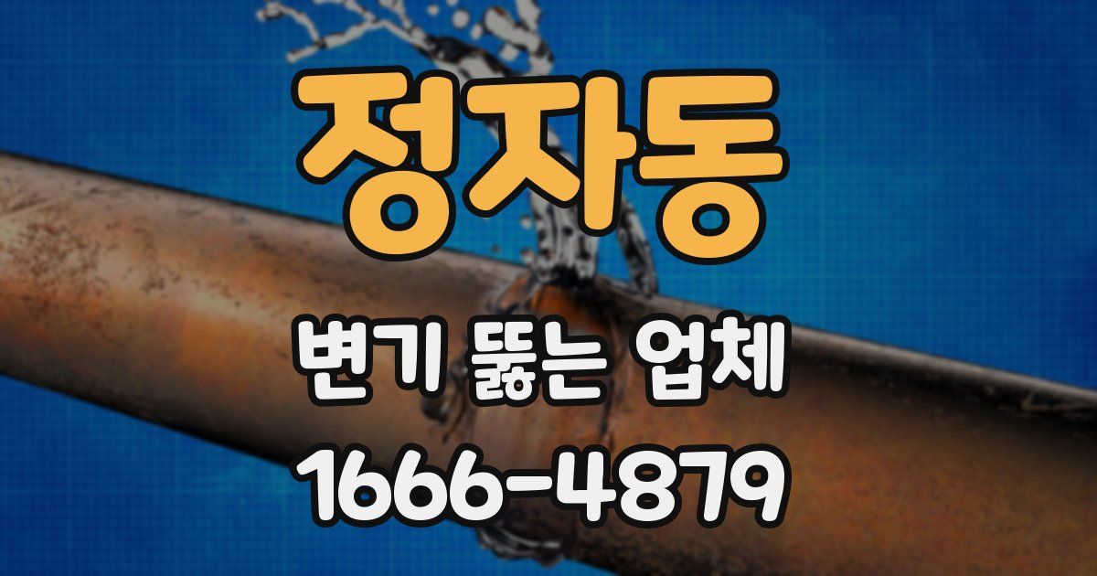 정자동 변기 뚫는 업체