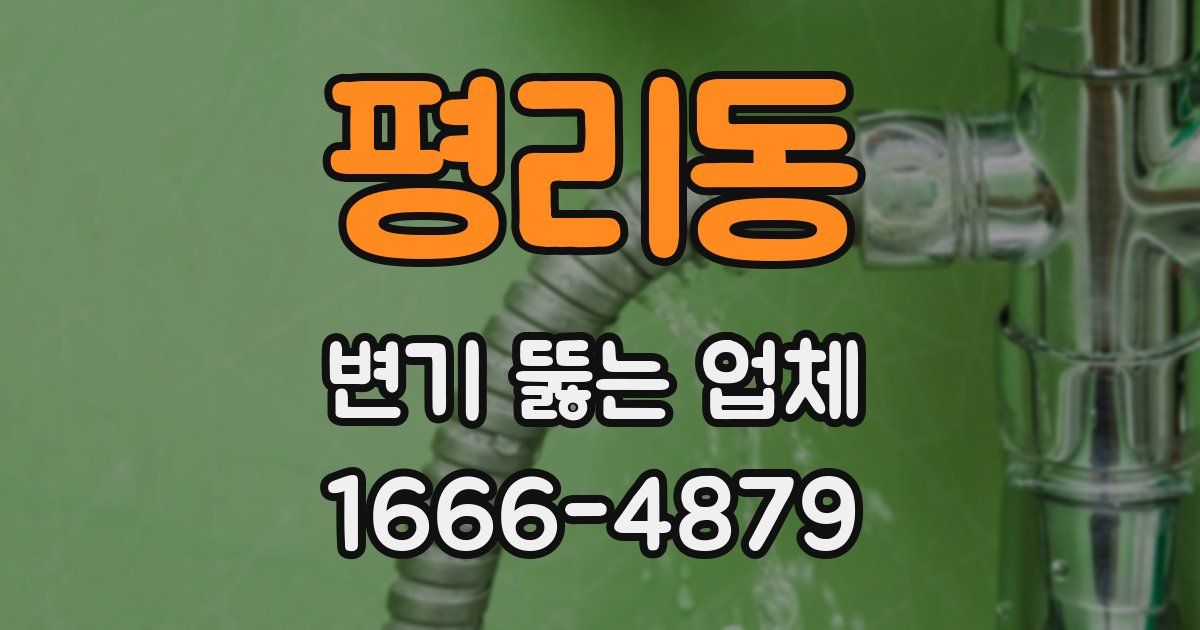 평리동 변기 뚫는 업체