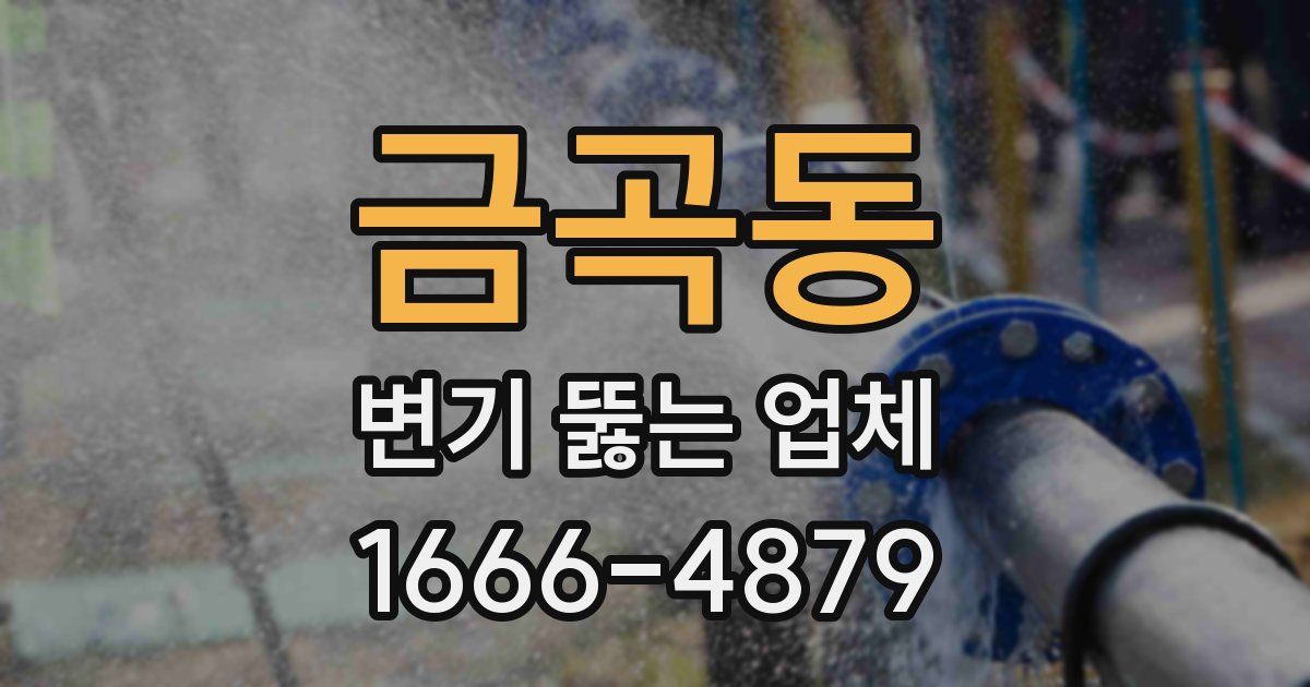 금곡동 변기 뚫는 업체