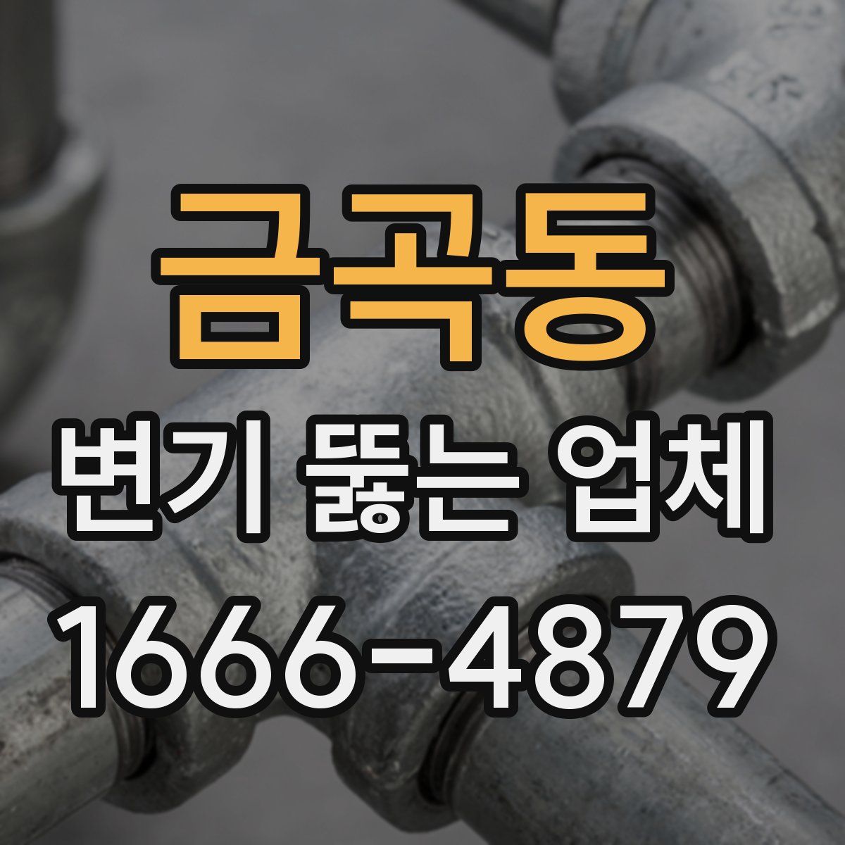 금곡동 변기 뚫는 업체