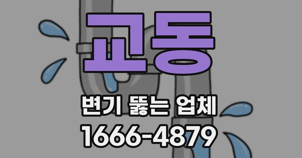 교동 변기 뚫는 업체