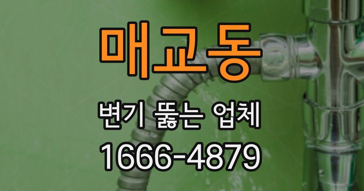 매교동 변기 뚫는 업체