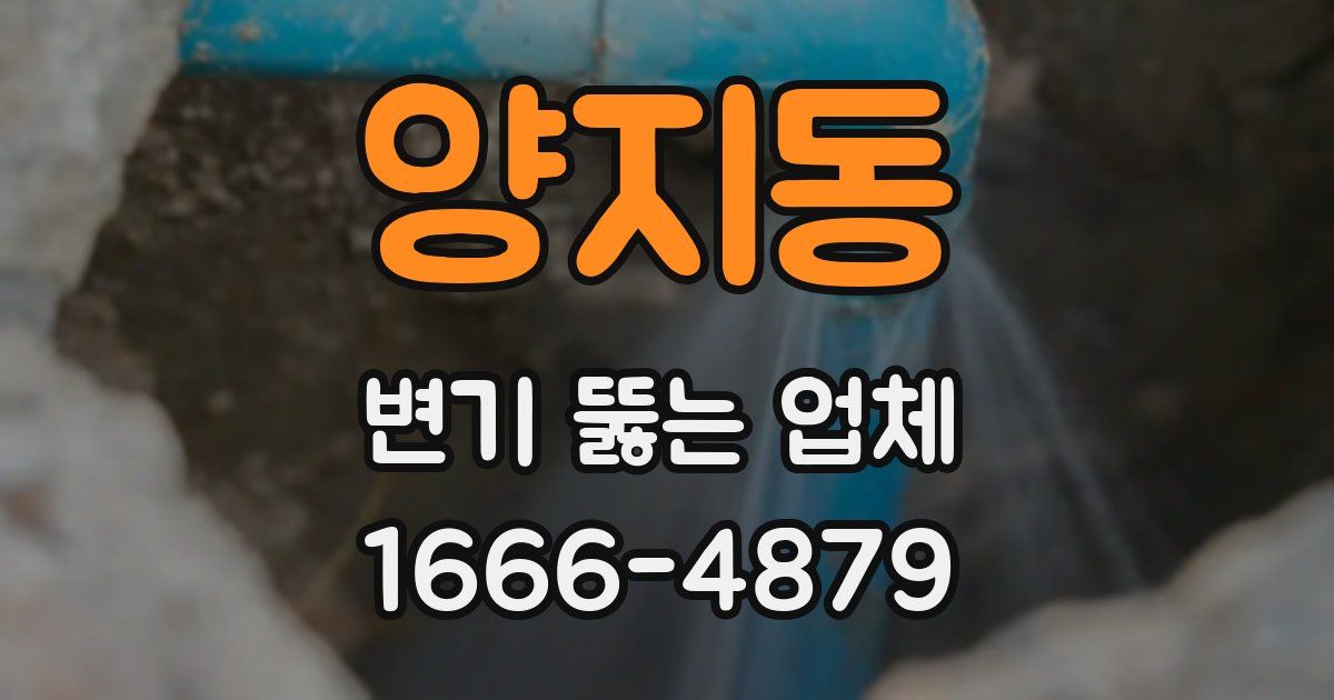 양지동 변기 뚫는 업체