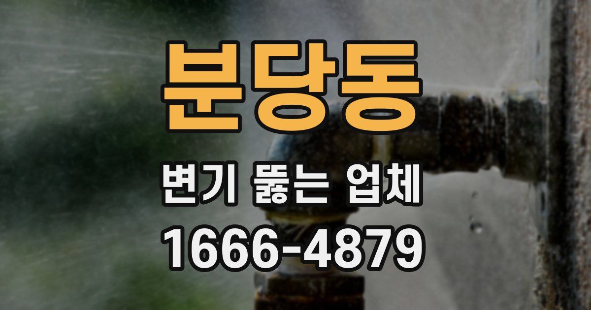 분당동 변기 뚫는 업체