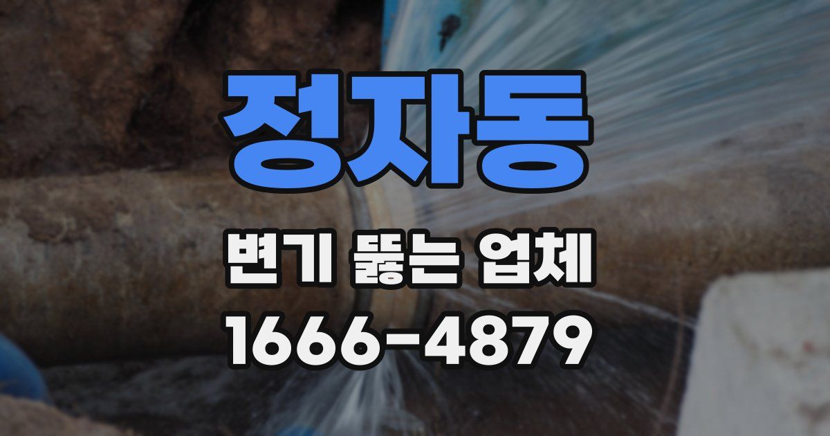 정자동 변기 뚫는 업체