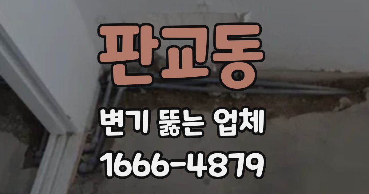 판교동 변기 뚫는 업체