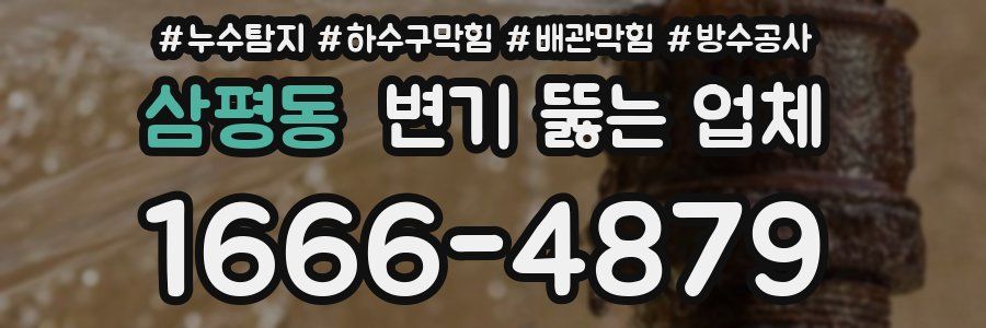 삼평동 변기 뚫는 업체