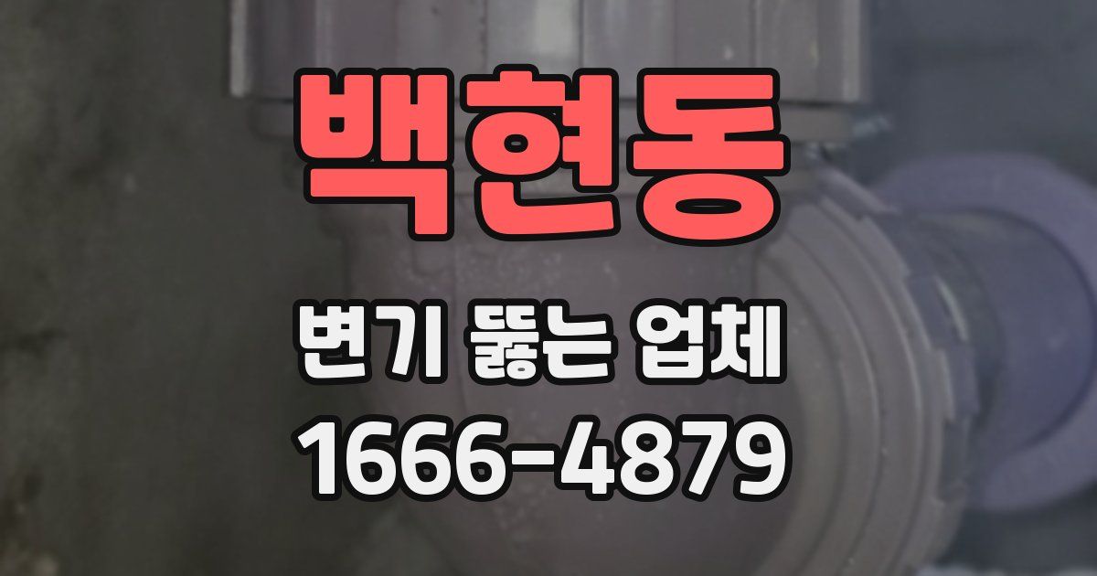 백현동 변기 뚫는 업체