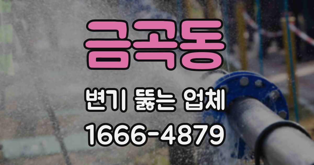 금곡동 변기 뚫는 업체