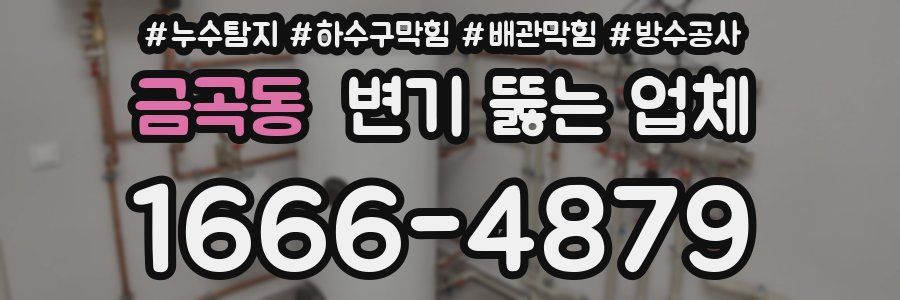 금곡동 변기 뚫는 업체