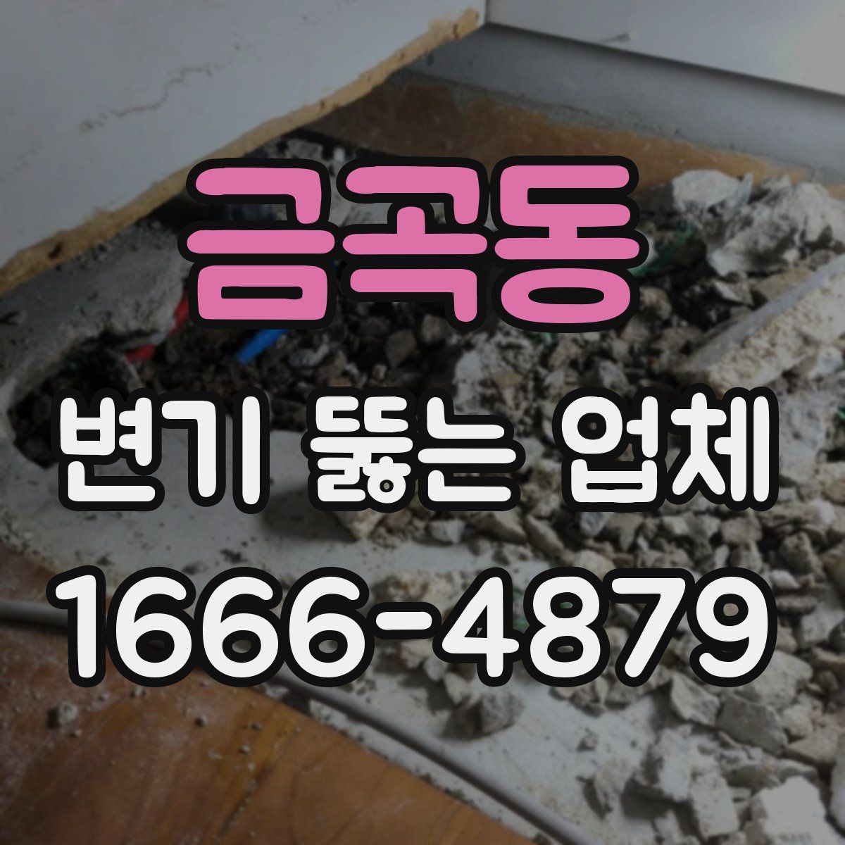 금곡동 변기 뚫는 업체