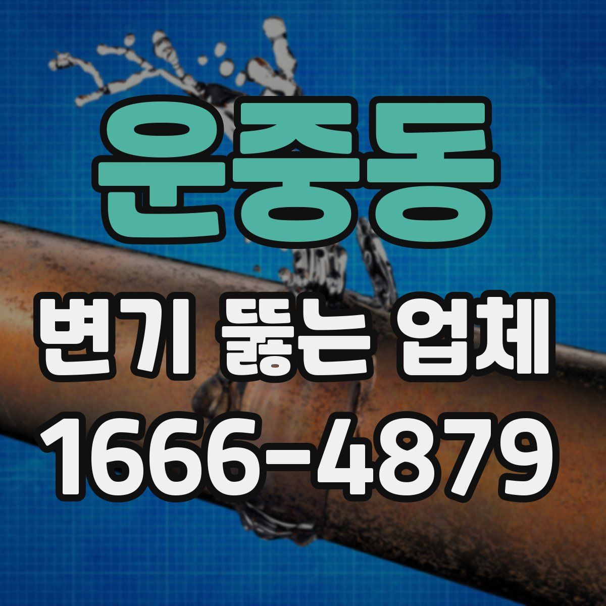 운중동 변기 뚫는 업체