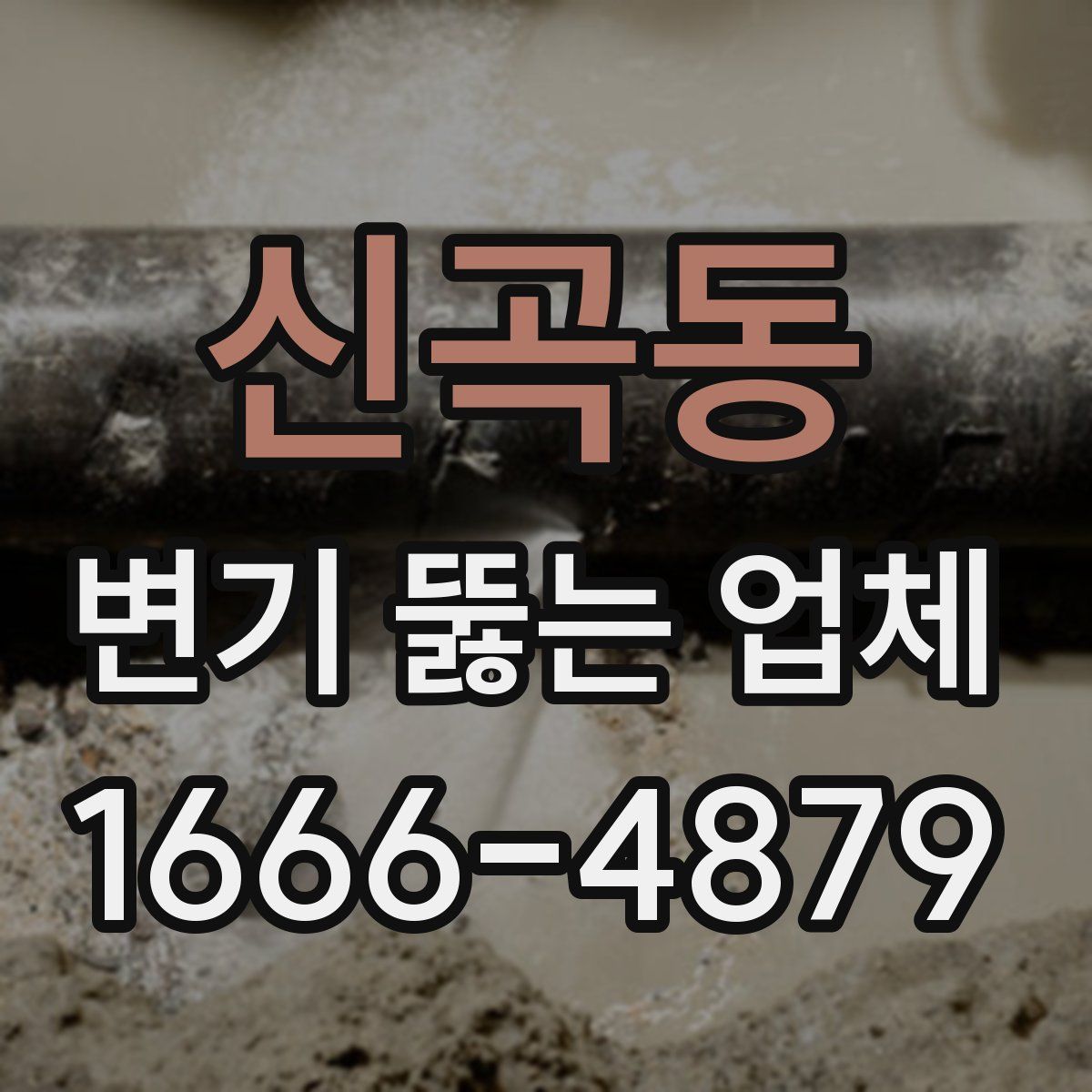 신곡동 변기 뚫는 업체