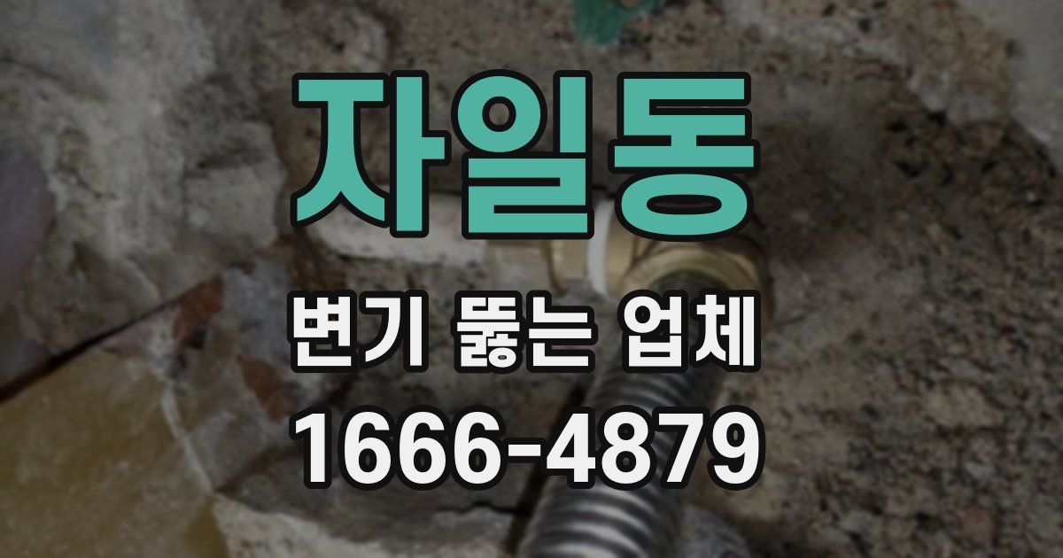 자일동 변기 뚫는 업체