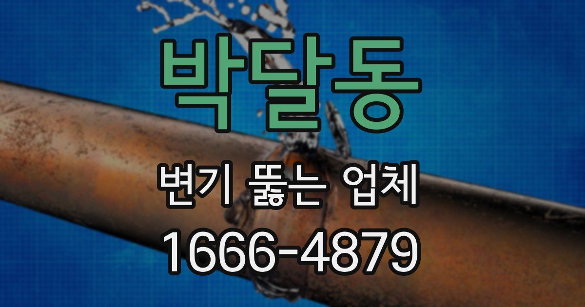 박달동 변기 뚫는 업체