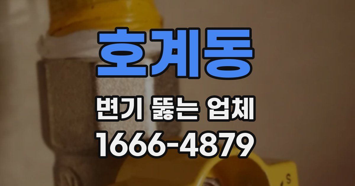 호계동 변기 뚫는 업체