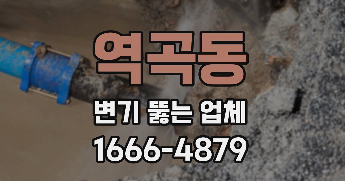 역곡동 변기 뚫는 업체