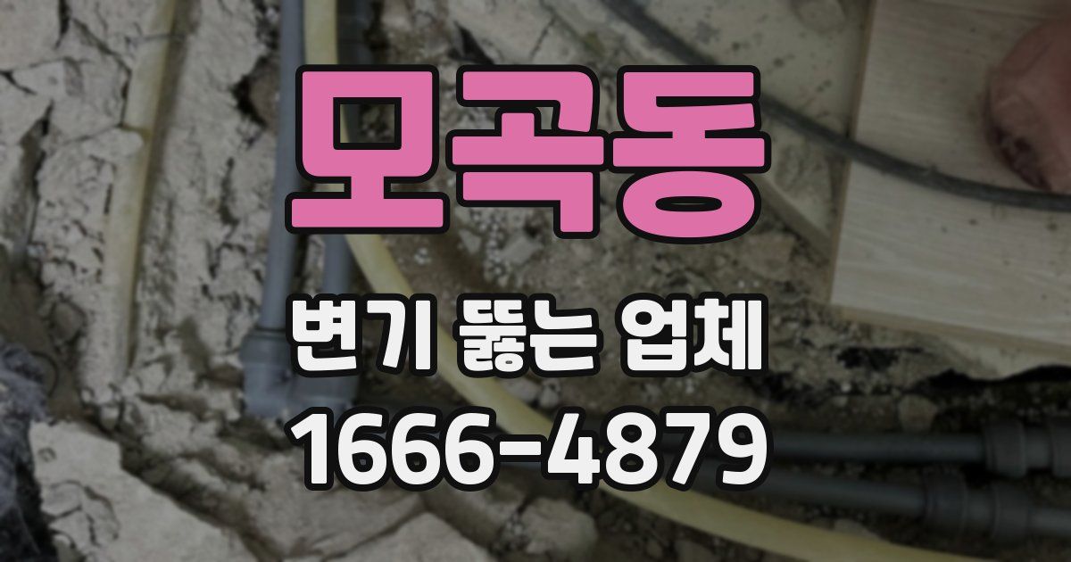 모곡동 변기 뚫는 업체