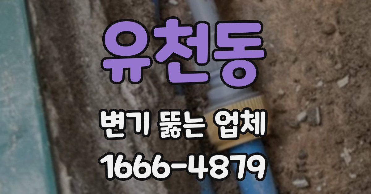 유천동 변기 뚫는 업체