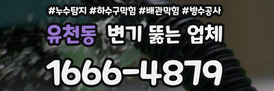 유천동 변기 뚫는 업체