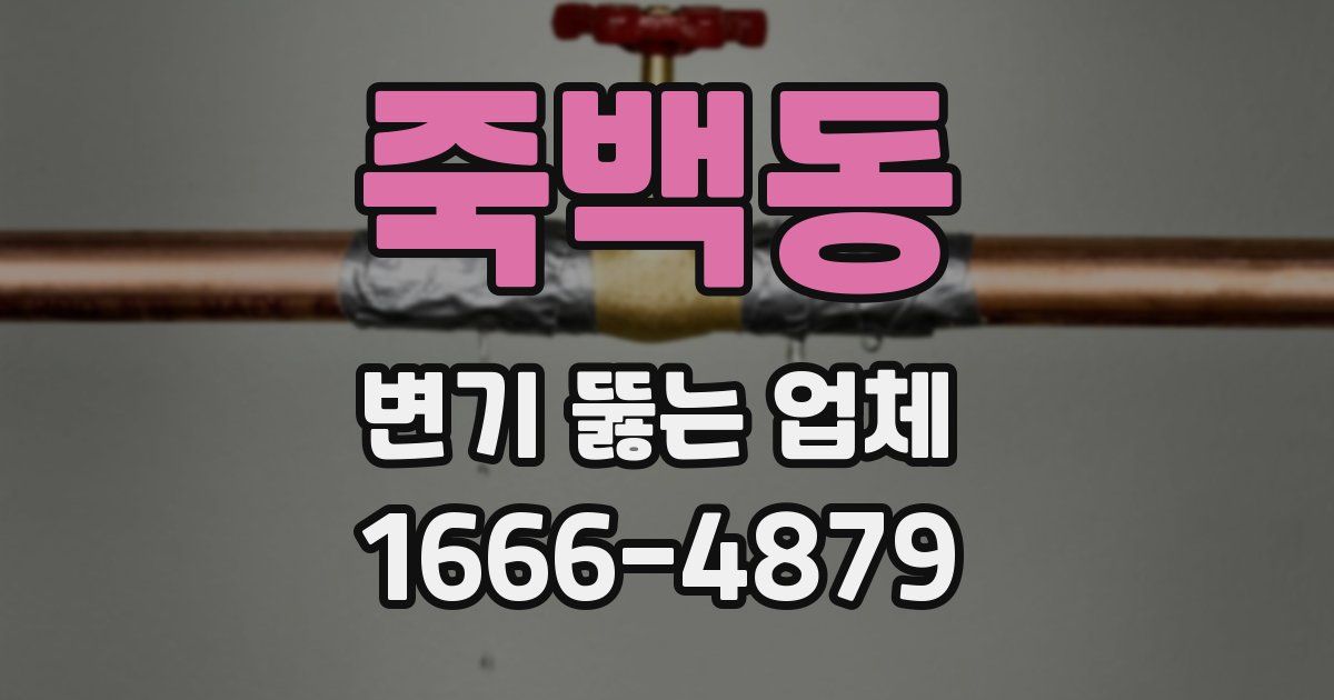 죽백동 변기 뚫는 업체