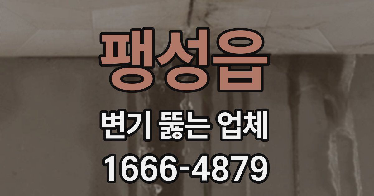 팽성읍 변기 뚫는 업체