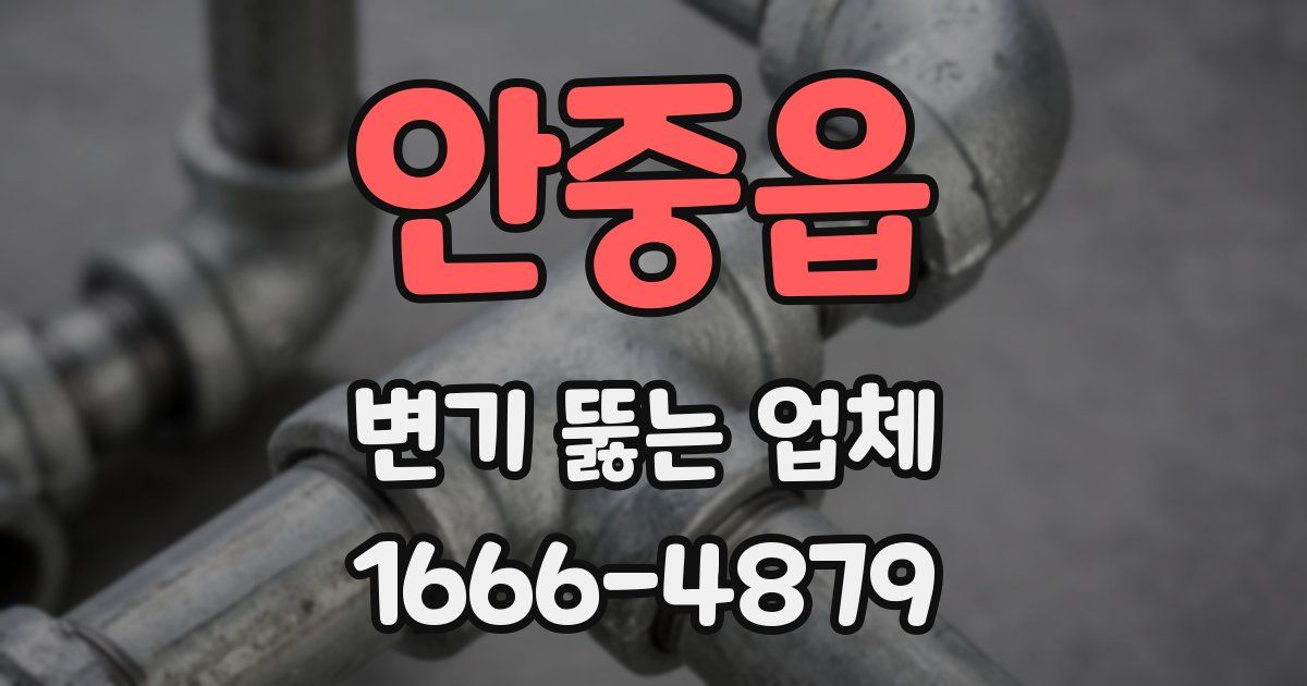 안중읍 변기 뚫는 업체
