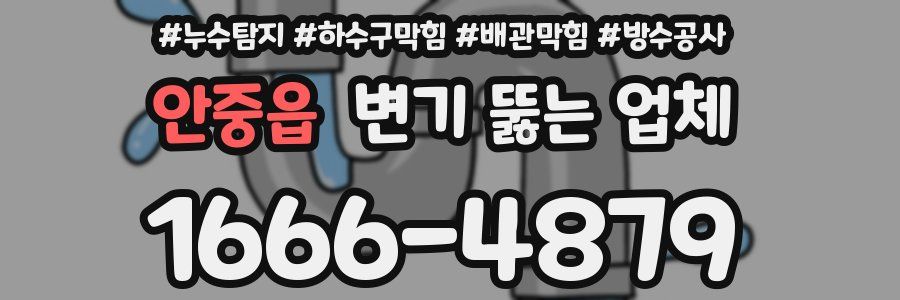 안중읍 변기 뚫는 업체