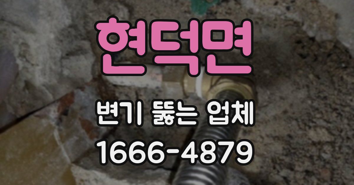 현덕면 변기 뚫는 업체