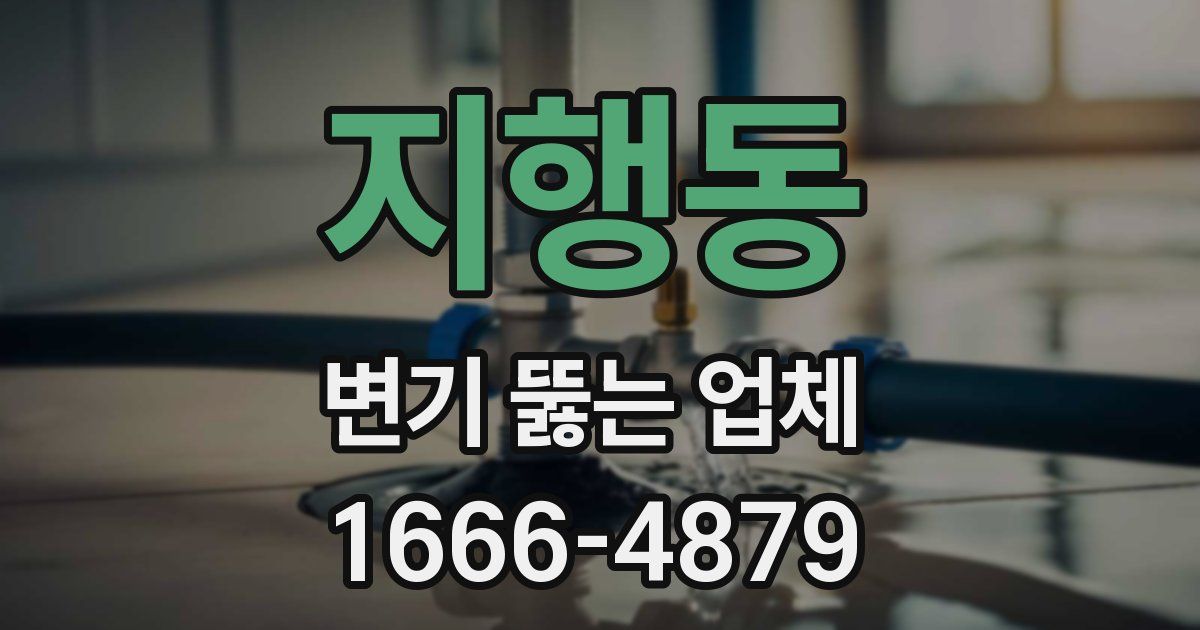지행동 변기 뚫는 업체