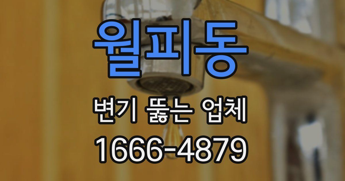 월피동 변기 뚫는 업체