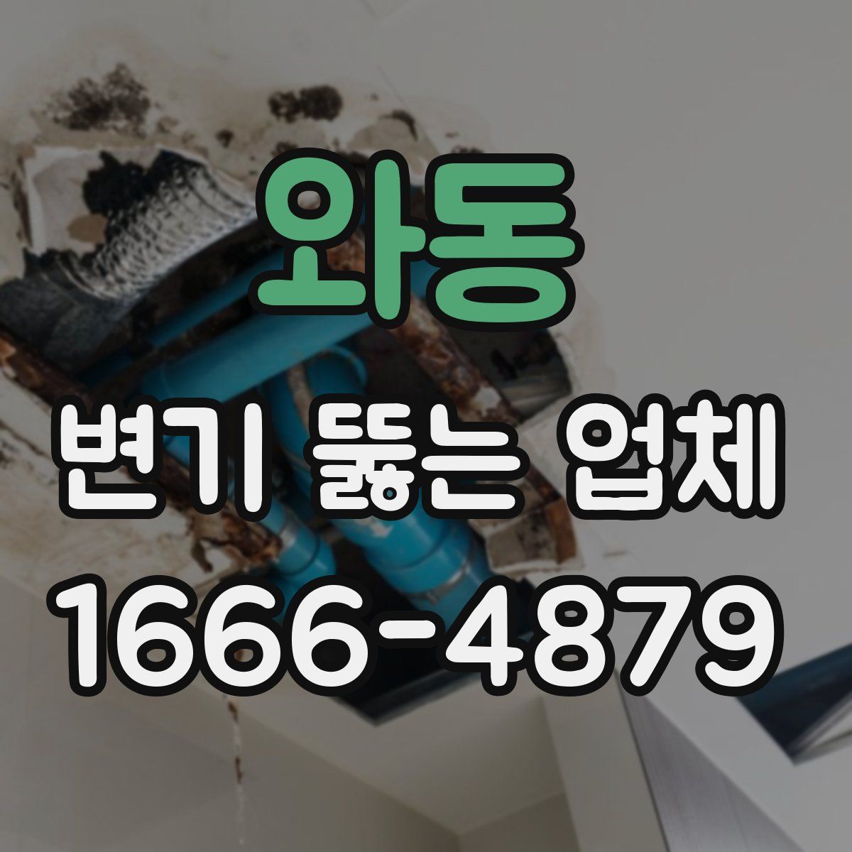 와동 변기 뚫는 업체