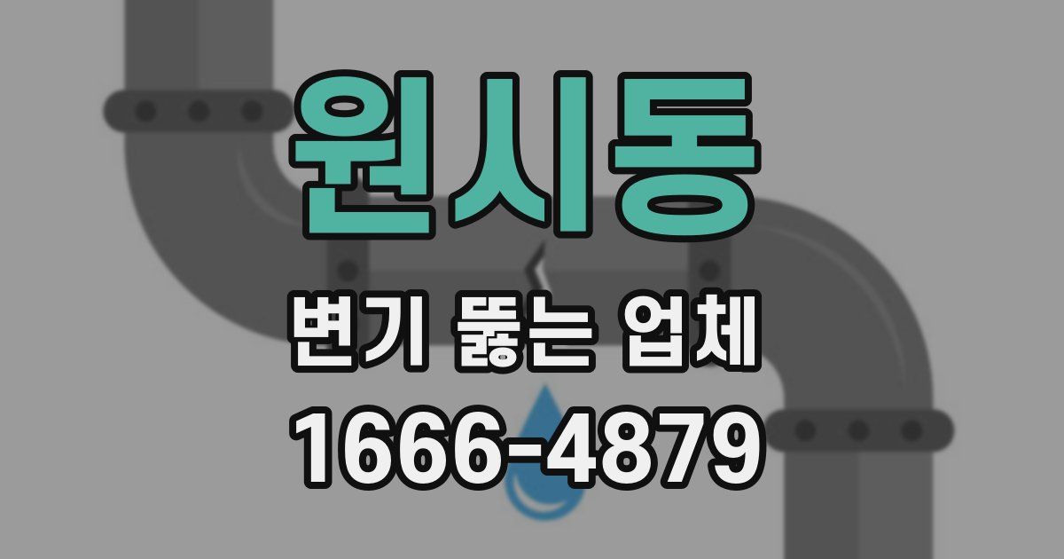 원시동 변기 뚫는 업체