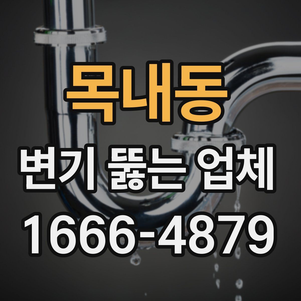 목내동 변기 뚫는 업체