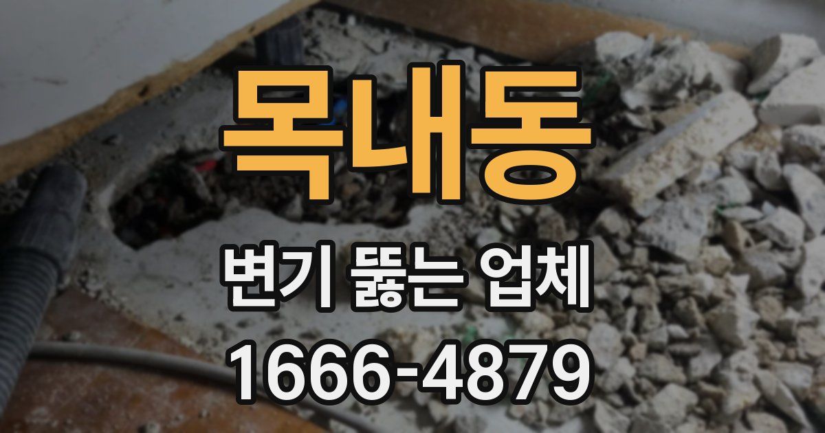 목내동 변기 뚫는 업체