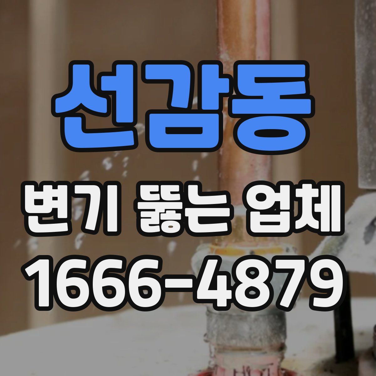선감동 변기 뚫는 업체