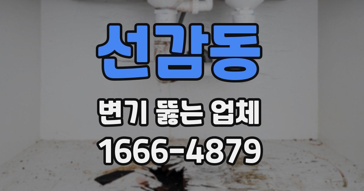 선감동 변기 뚫는 업체