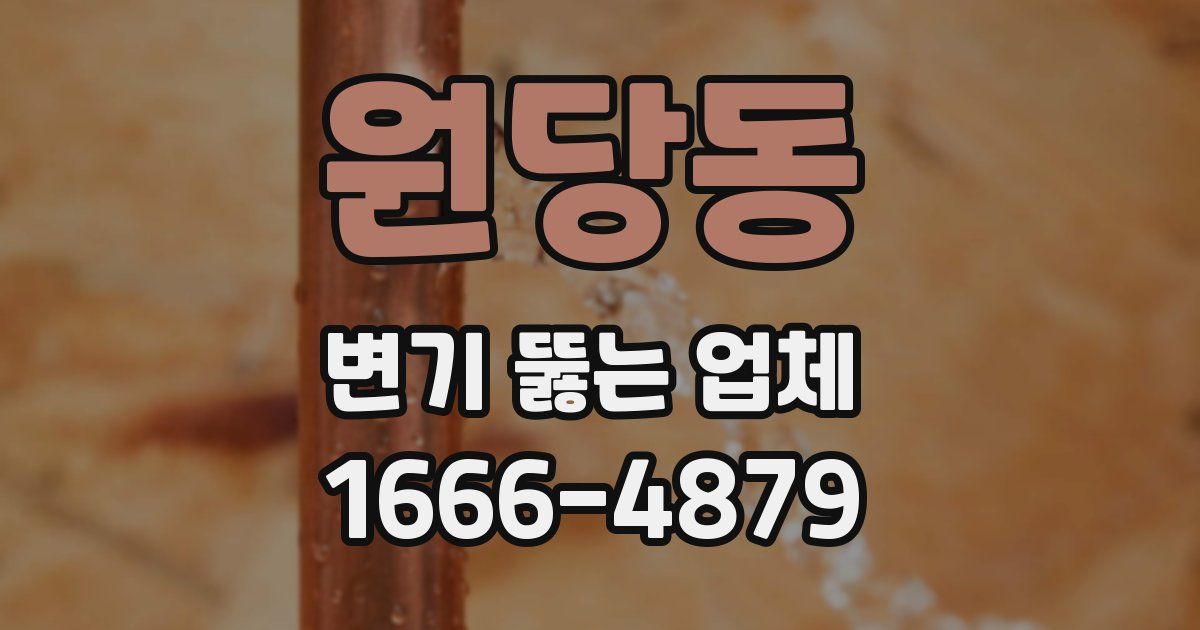 원당동 변기 뚫는 업체