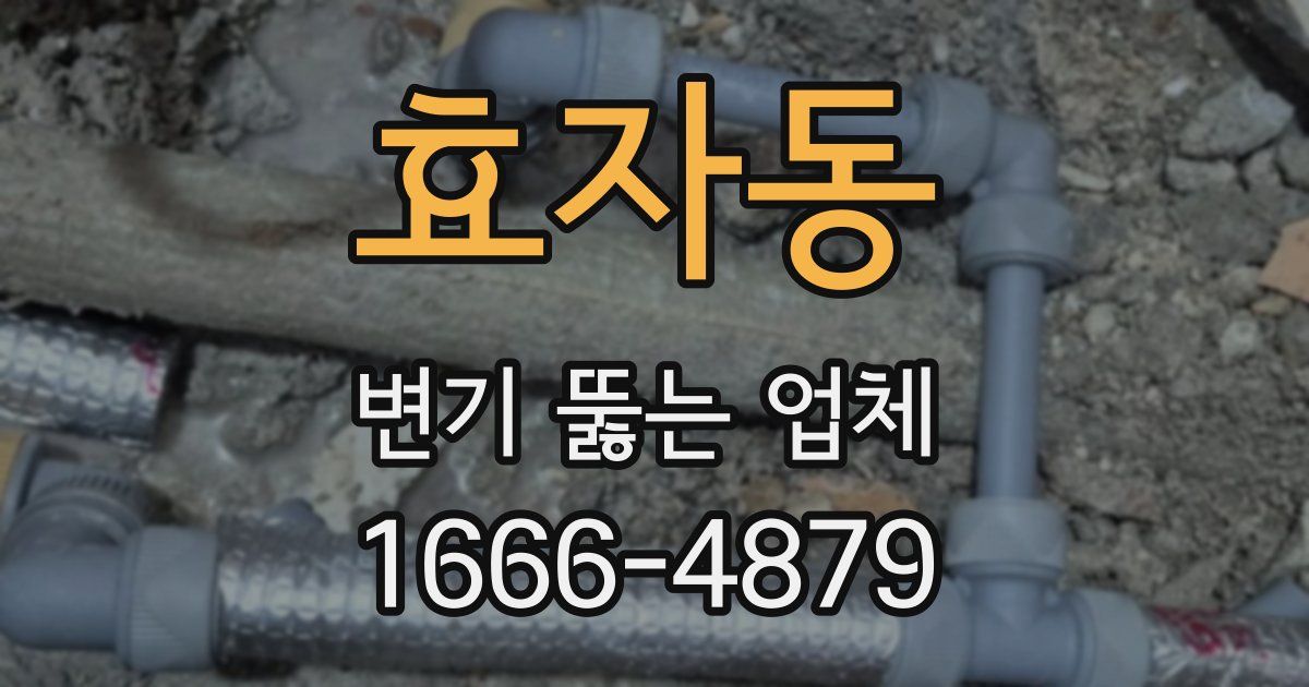 효자동 변기 뚫는 업체