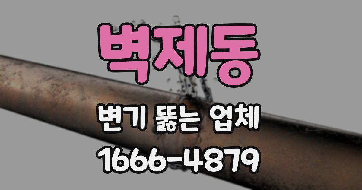 벽제동 변기 뚫는 업체