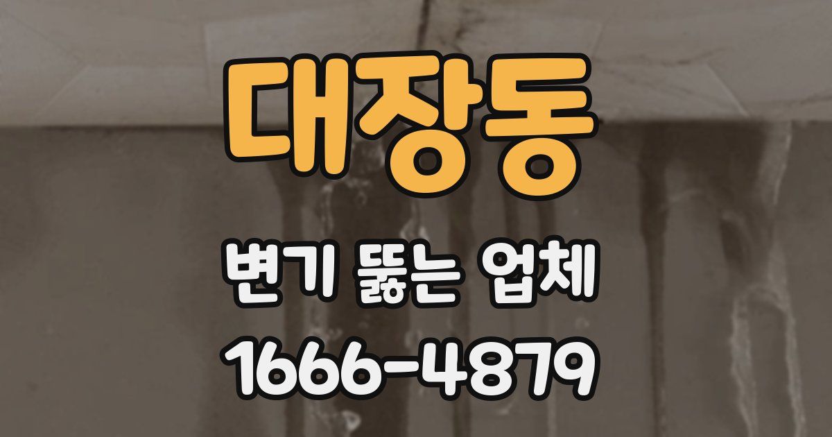 대장동 변기 뚫는 업체
