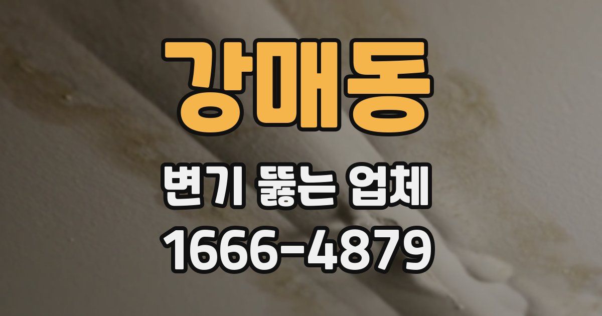 강매동 변기 뚫는 업체