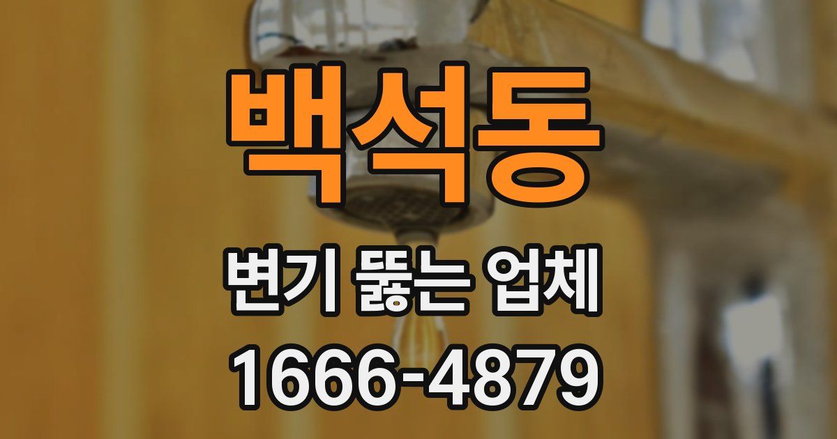 백석동 변기 뚫는 업체