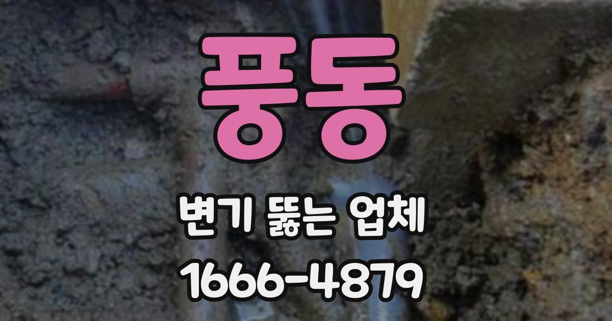 풍동 변기 뚫는 업체