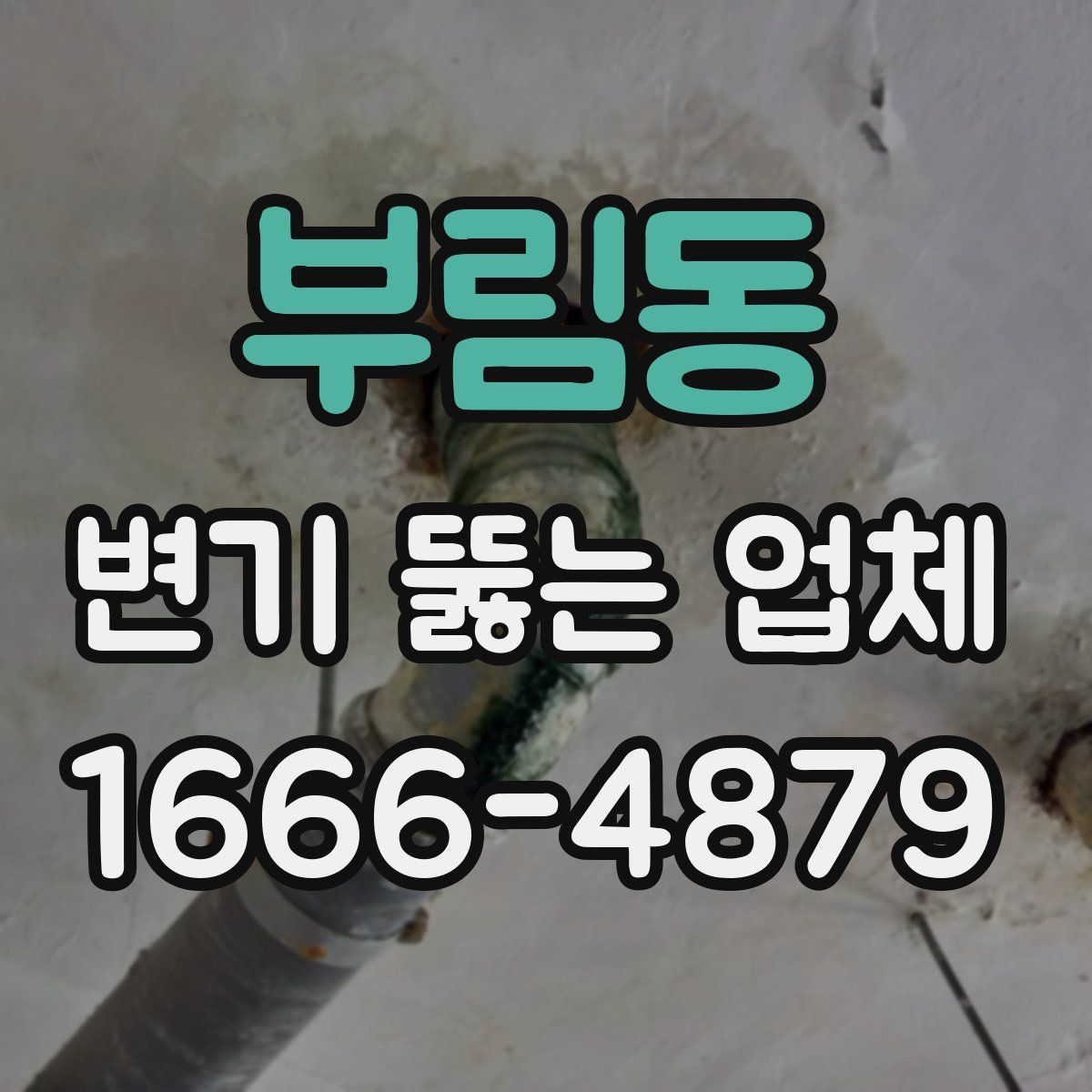 부림동 변기 뚫는 업체